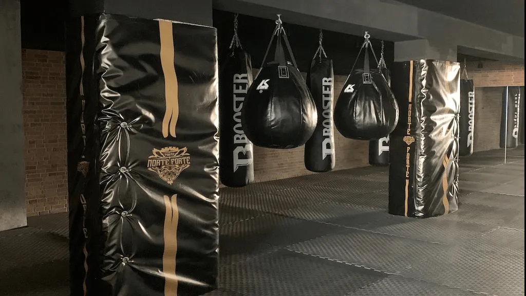 Ginásio, Norte Forte - Fight Club, em Porto, Portugal