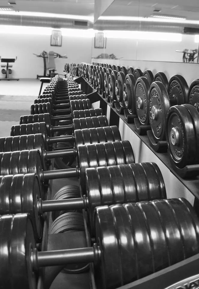 Ginásio, Grifo Gym, em Vila Nova De Gaia, Portugal